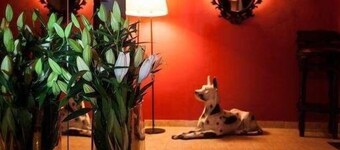 Art Rustic Hotel