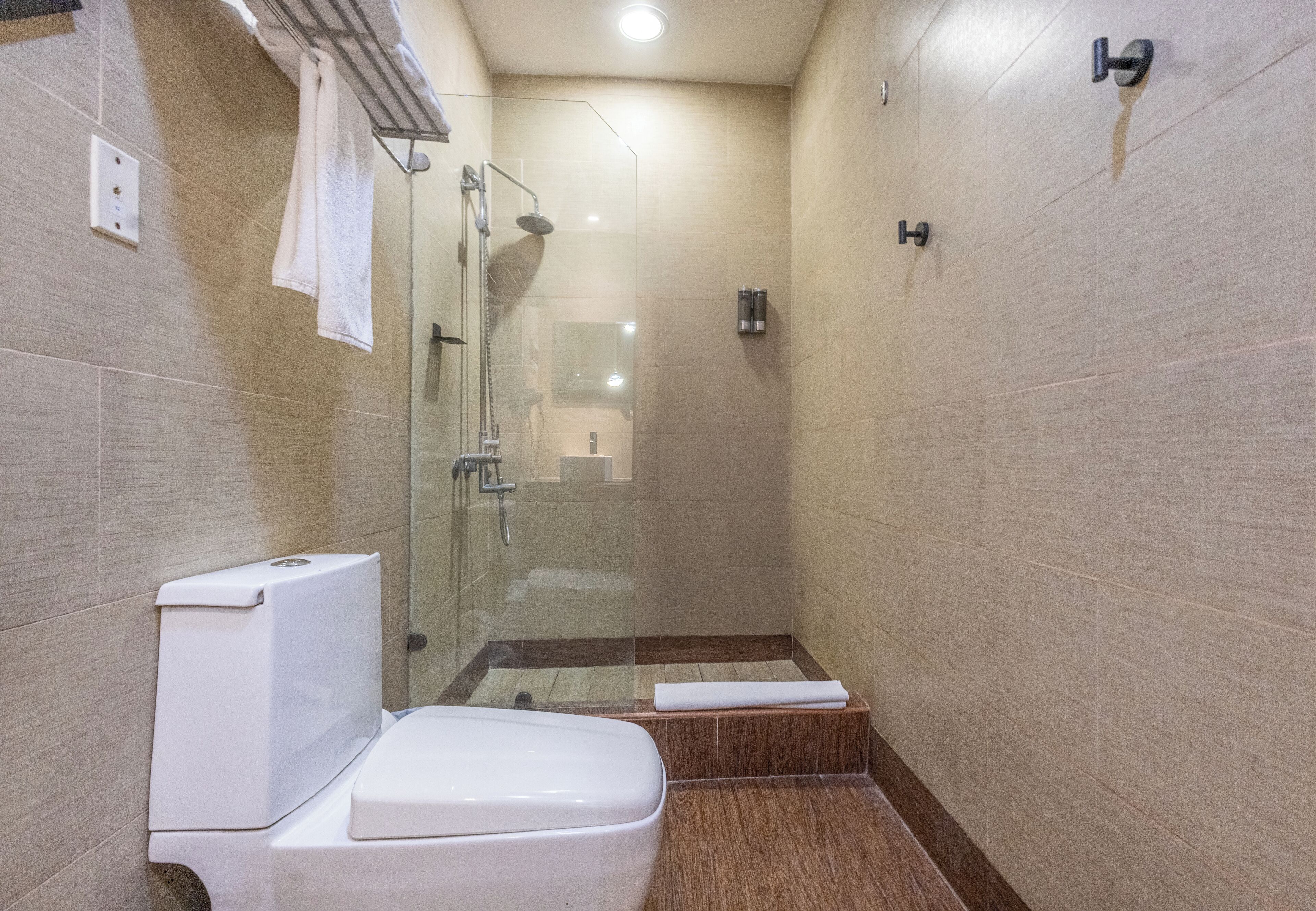 Ein modernes Badezimmer mit einer gläsernen Duschkabine, einer weißen Toilette und einem hölzernen Podest, das zur Dusche führt.