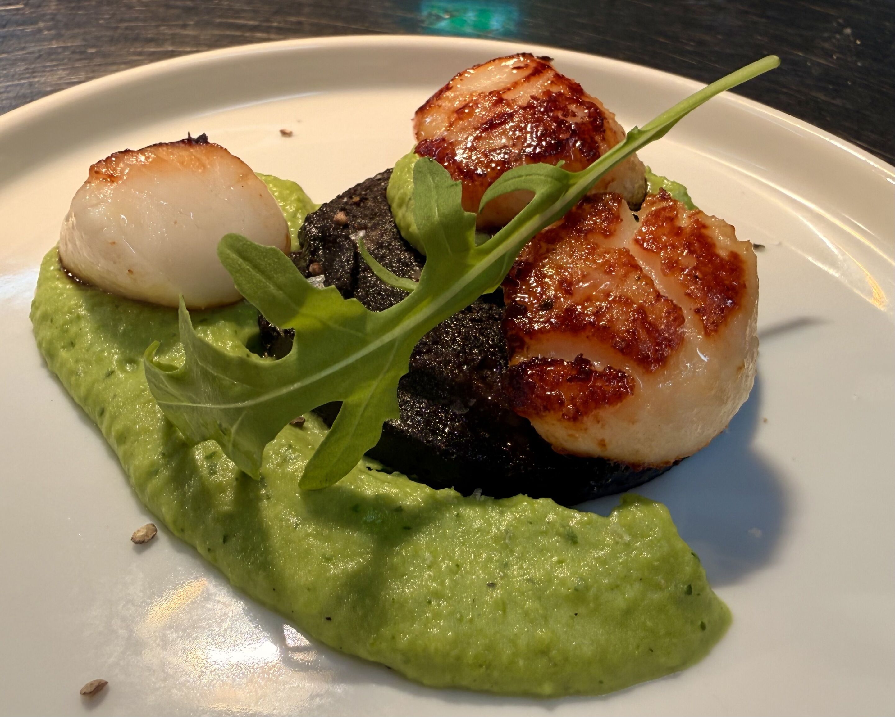 Un plato con vieiras selladas, un trozo de carne oscura y una salsa verde, decorado con rúcula.