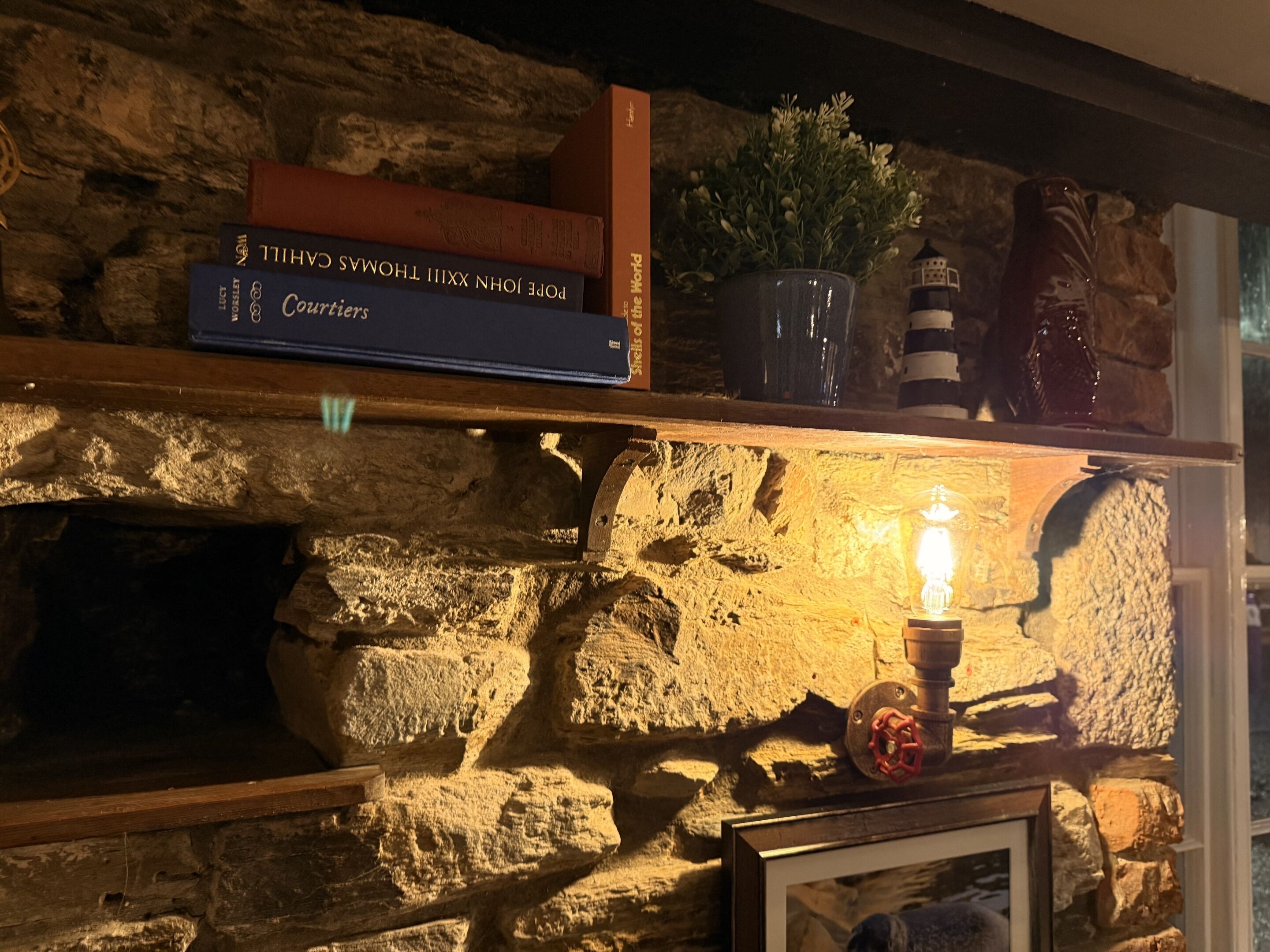 Una pared de piedra con un estante que sostiene libros y una planta en maceta.