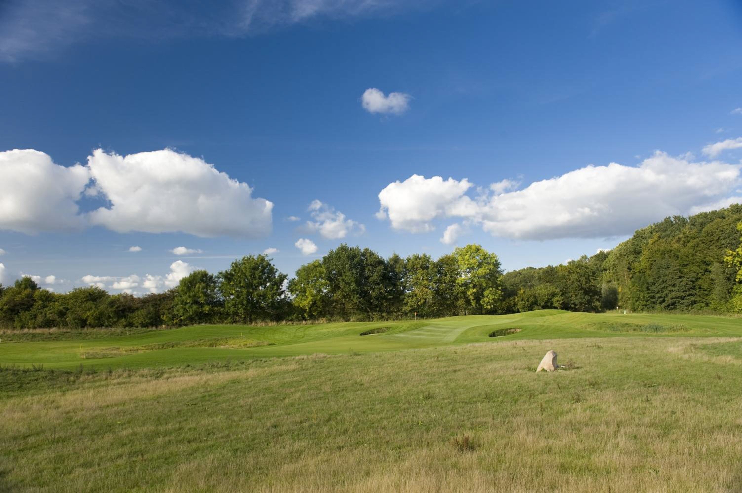 Un campo de golf con cielo despejado, abundante vegetación y algunos árboles al fondo.