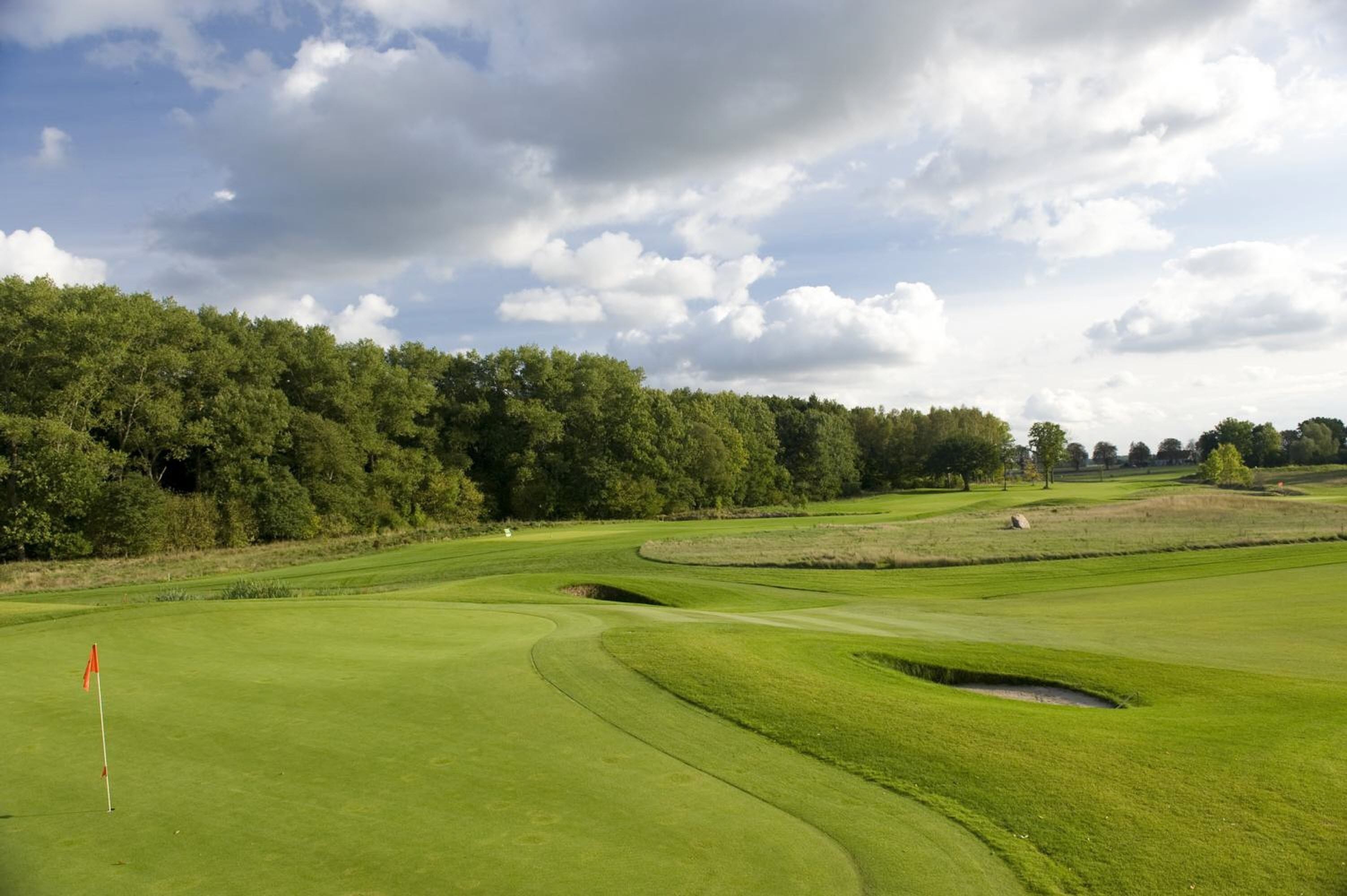 A golf course with a flagstick, well-maintained grass, and a forested area in the background.