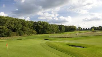 A golf course with a flagstick, well-maintained grass, and a forested area in the background.