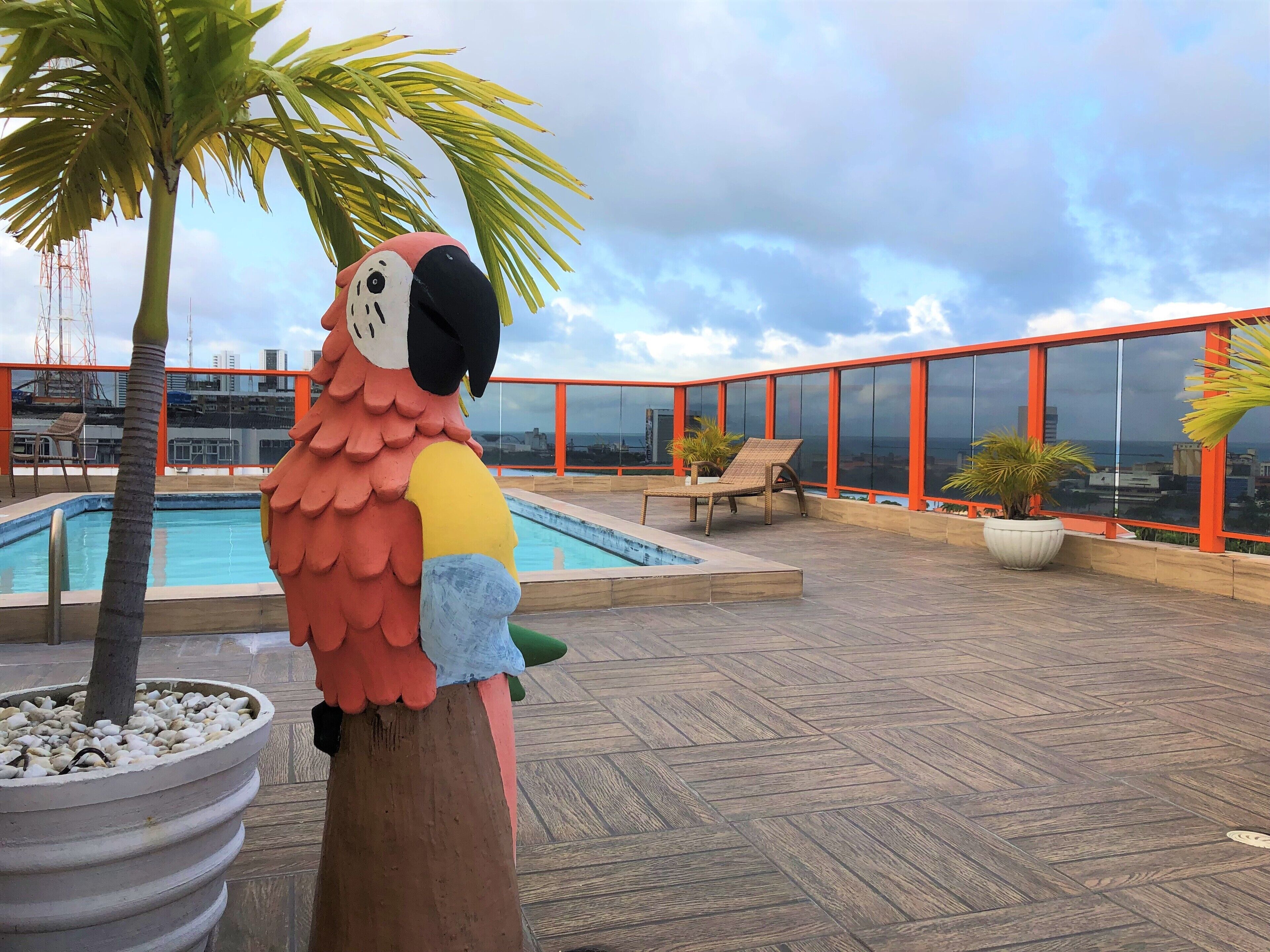 Piscine extérieure, chaises longues