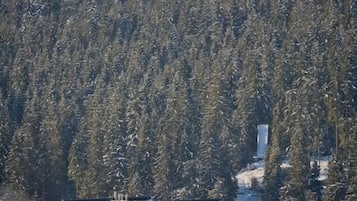 Ulkopuoli