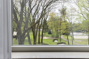 Vista a través de una ventana de un parque con árboles y un sendero.