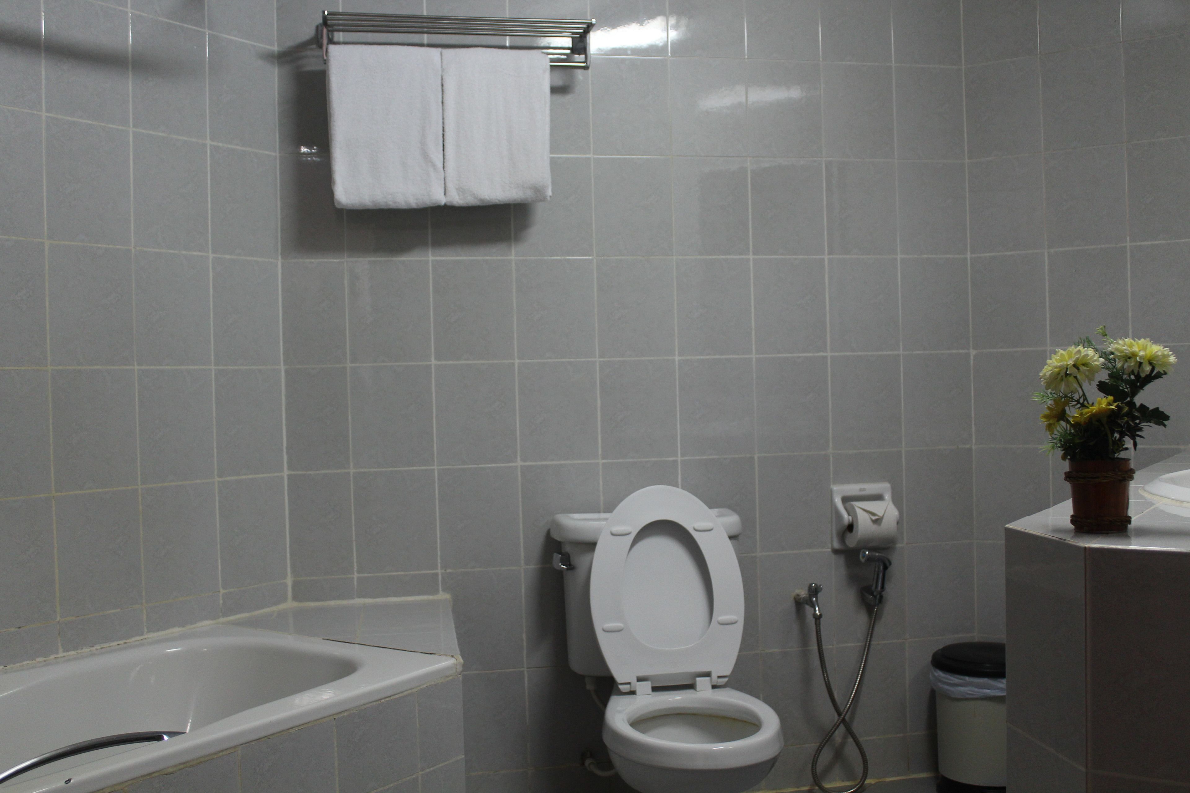 A bathroom with a bathtub, toilet, and a small potted plant.