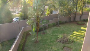 A well-maintained garden with a variety of plants, a small tree, and a grassy area.
