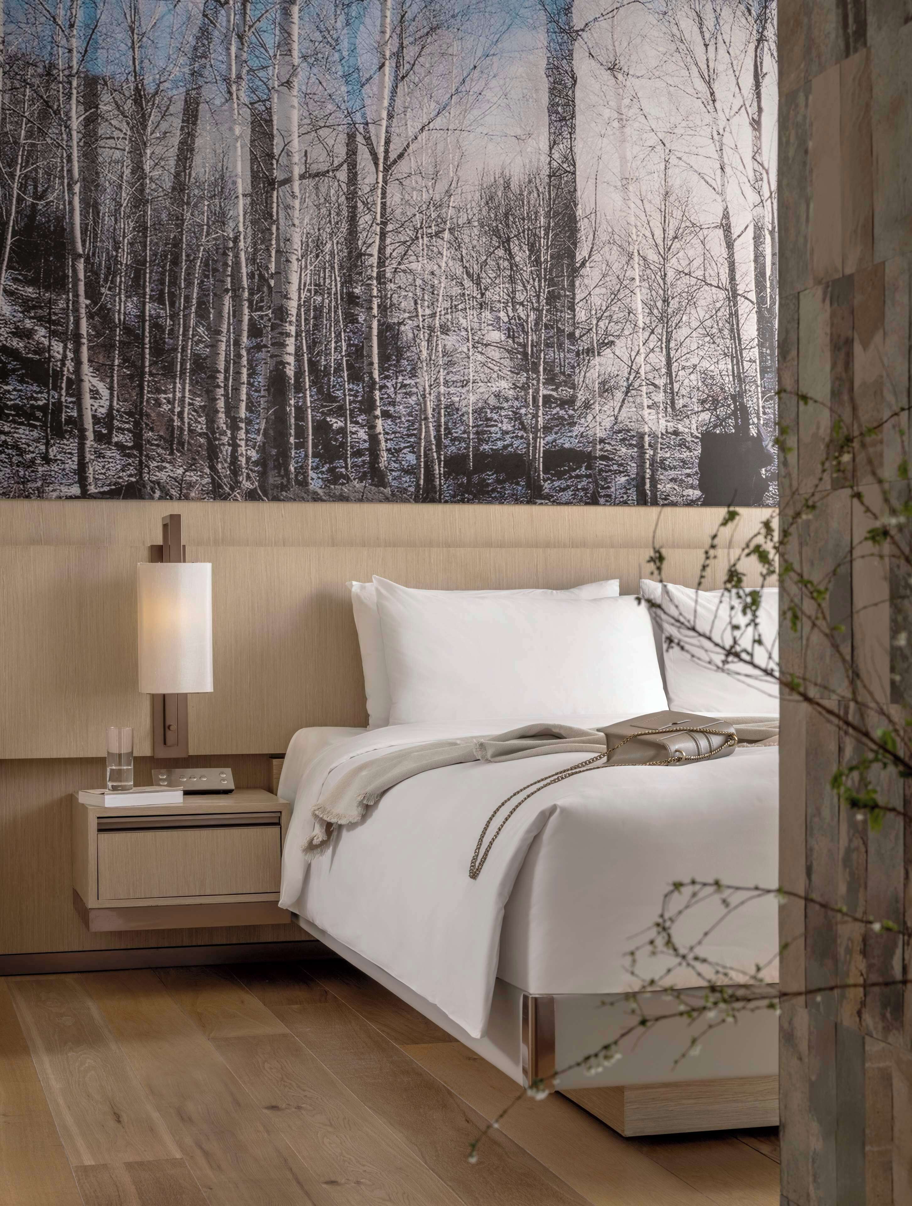 A hotel room with a bed, a bedside table with a lamp, and a large forest-themed wall mural.