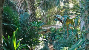 Um caminho de tijolos estreito, ladeado por vegetação exuberante e diversas plantas.