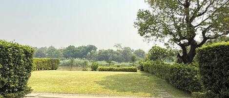 Pemandangan taman