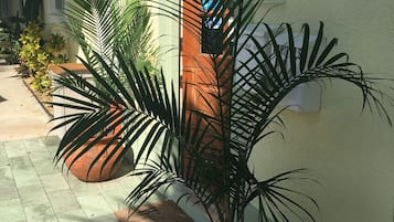 Recepción