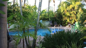 Outdoor pool, pool umbrellas, sun loungers