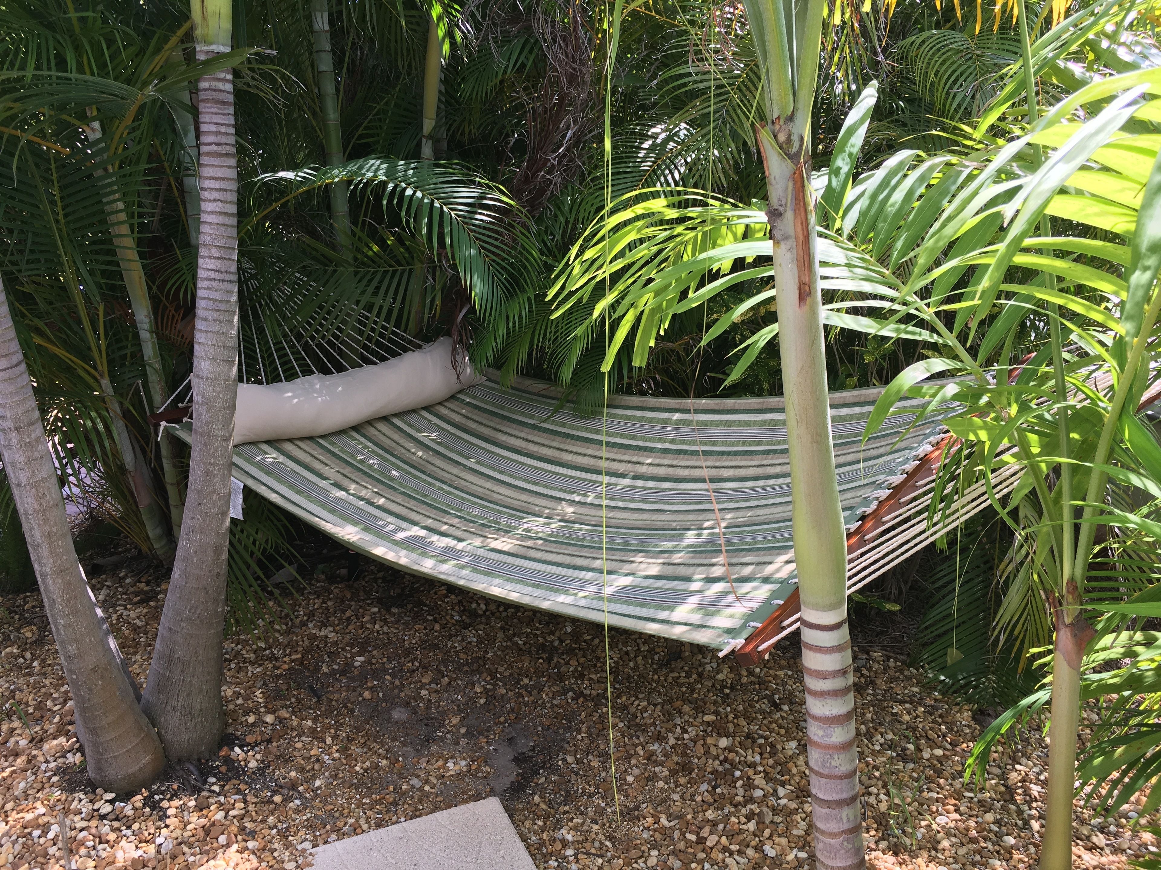 A hammock suspended between trees in a tropical garden setting.