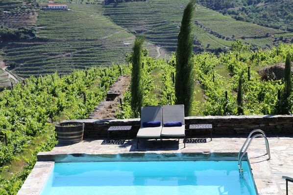 Seasonal outdoor pool, pool loungers