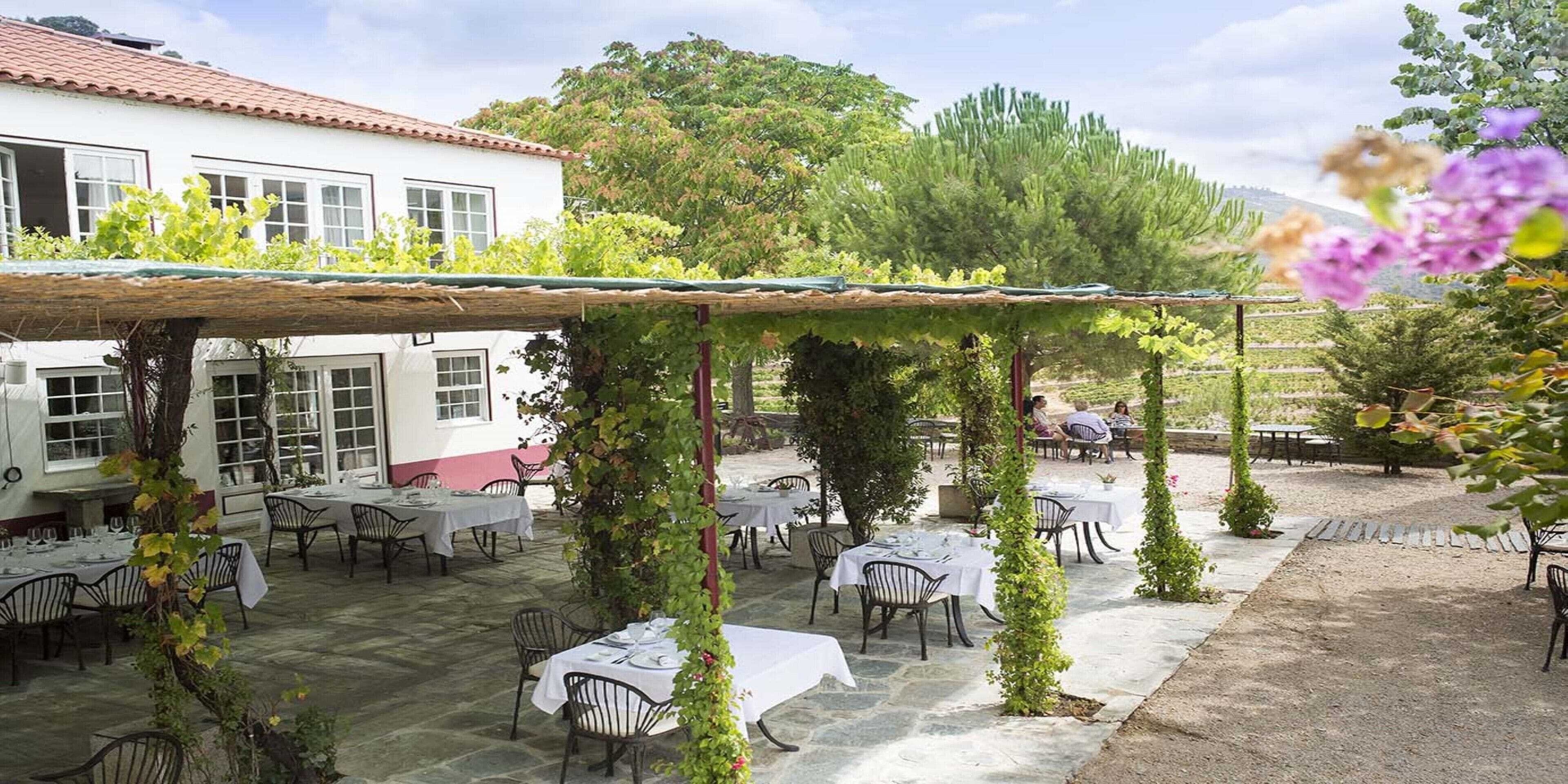 Ein Essbereich im Freien mit Tischen und Stühlen, der von einer Pergola mit Kletterpflanzen beschattet wird.