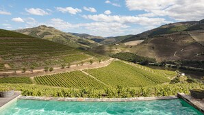 Un vignoble avec des terrasses et une piscine en premier plan.