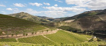 Quinta Nova Winery House - Relais & Châteaux