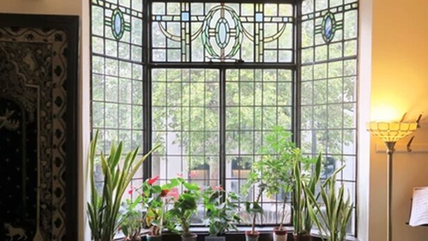 A room with a bay window, two chairs, a small table, and several potted plants. - Hotel Strand Continental - Hostel (London)