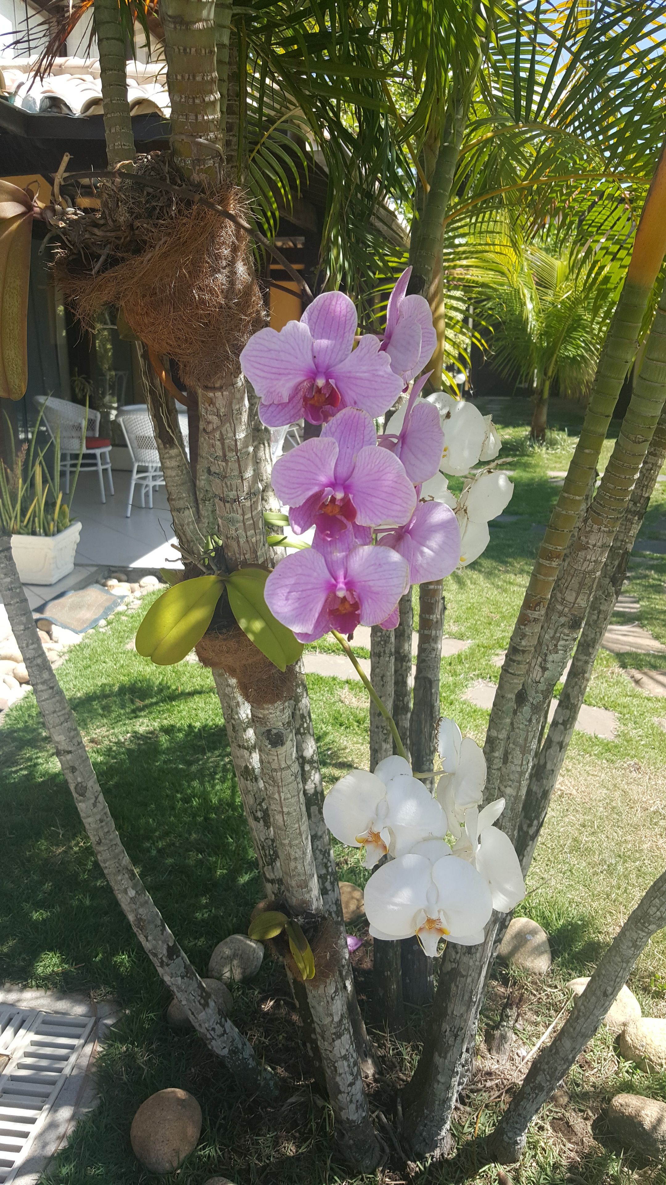 Detalhe da parte interna