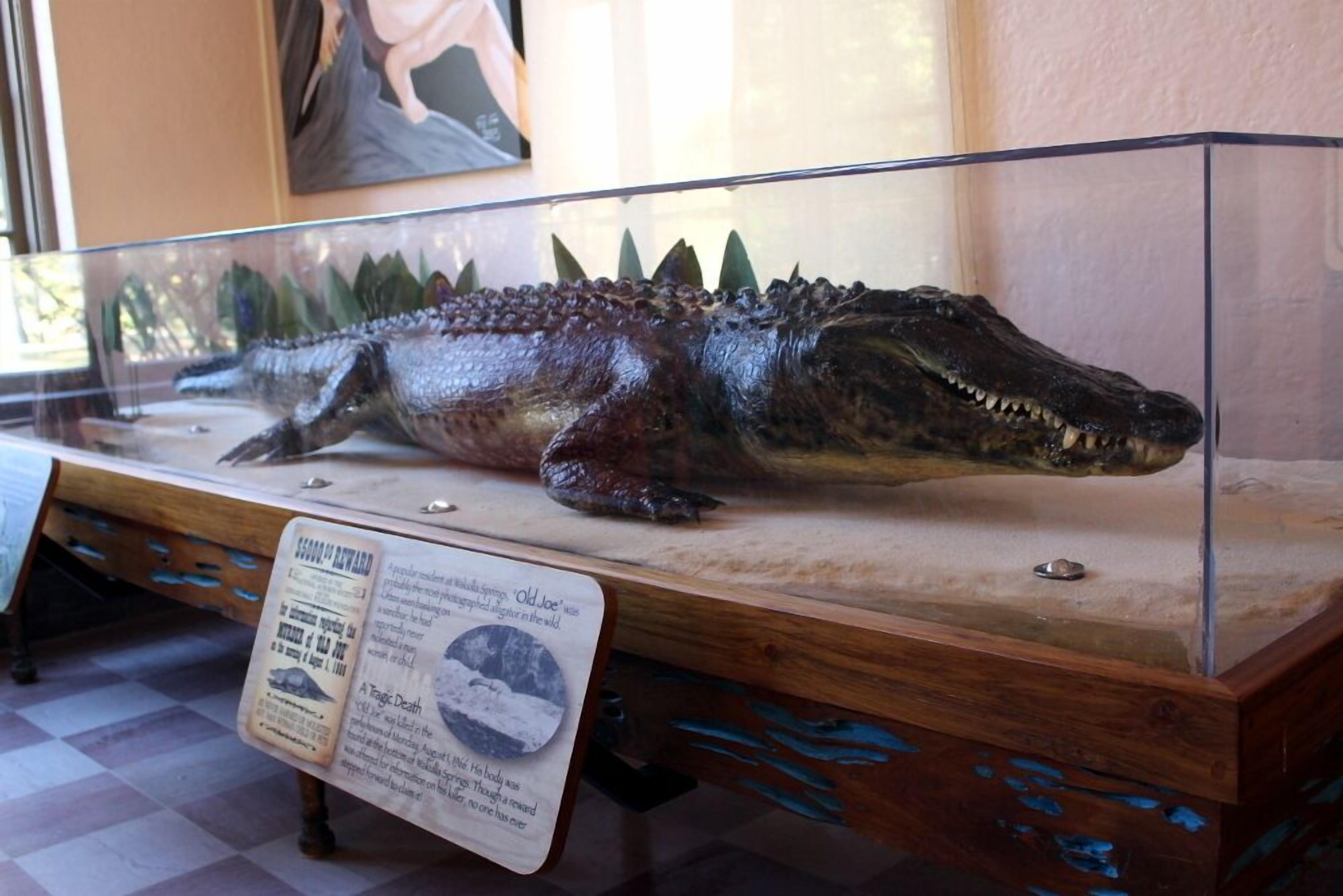 breakfast, lunch, dinner served; american cuisine