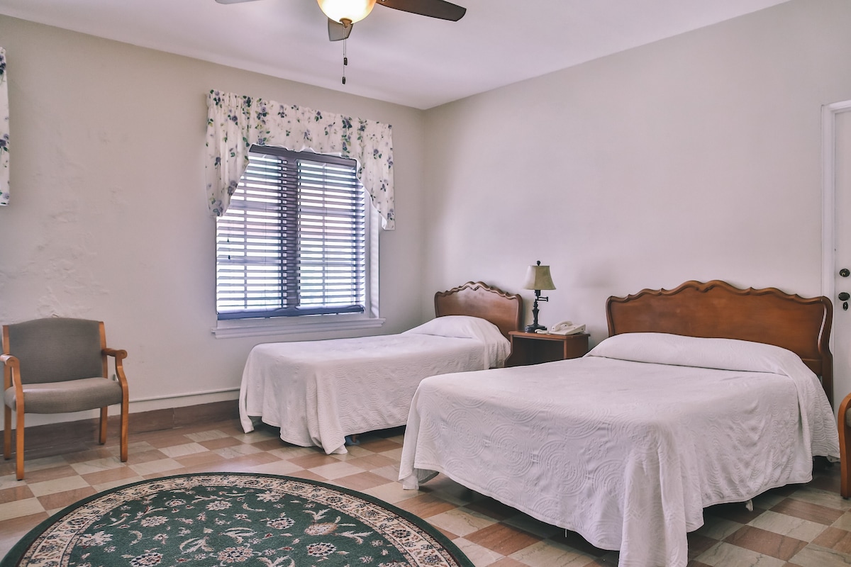 A bedroom with two beds, a chair, a window with blinds, a ceiling fan, and a rug.