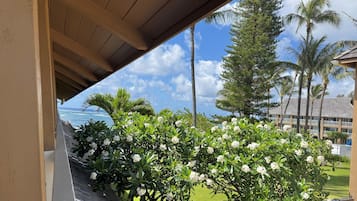 A view from a covered area with a wooden ceiling, overlooking a well-maintained lawn, palm trees, and a building with a thatched roof.