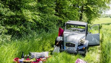 A vintage car parked in a grassy field with picnic items around it.