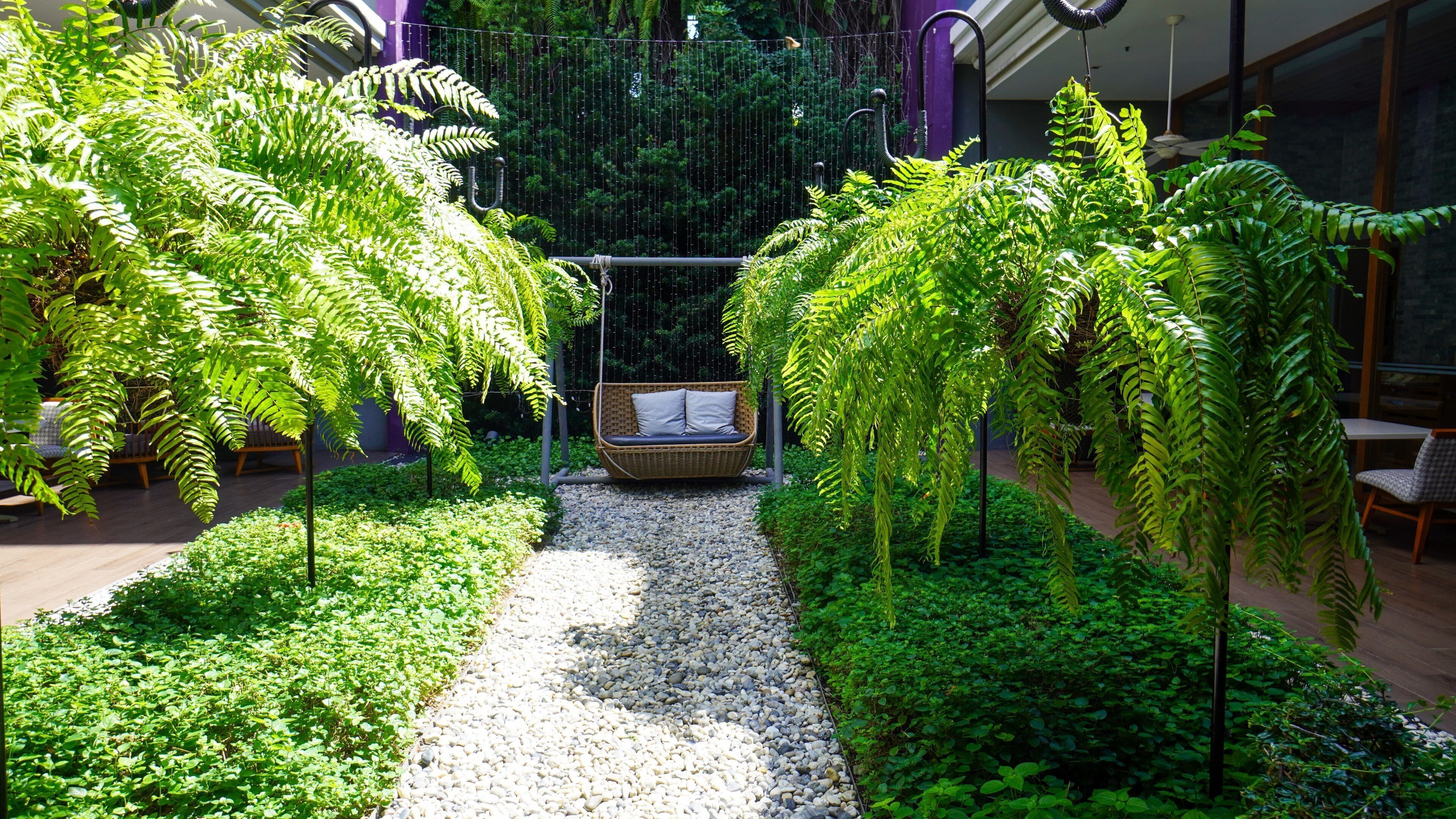 Un jardin intérieur luxuriant, agrémenté d’une chaise suspendue, entouré d’un feuillage dense et bordé d’un chemin de gravier.