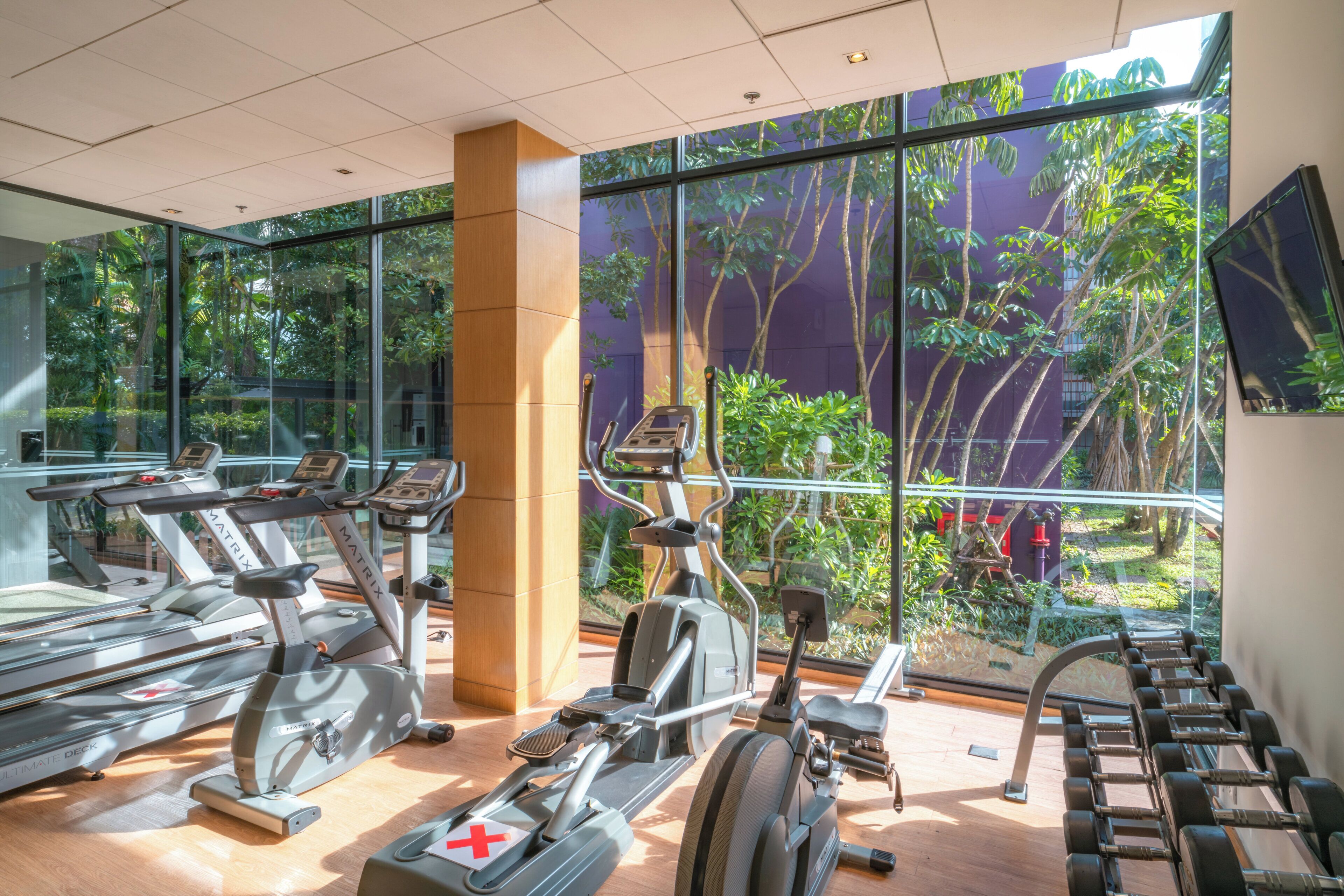 Ein Fitnessstudio mit mehreren Trainingsgeräten, großen Fenstern und Blick auf Grünflächen.