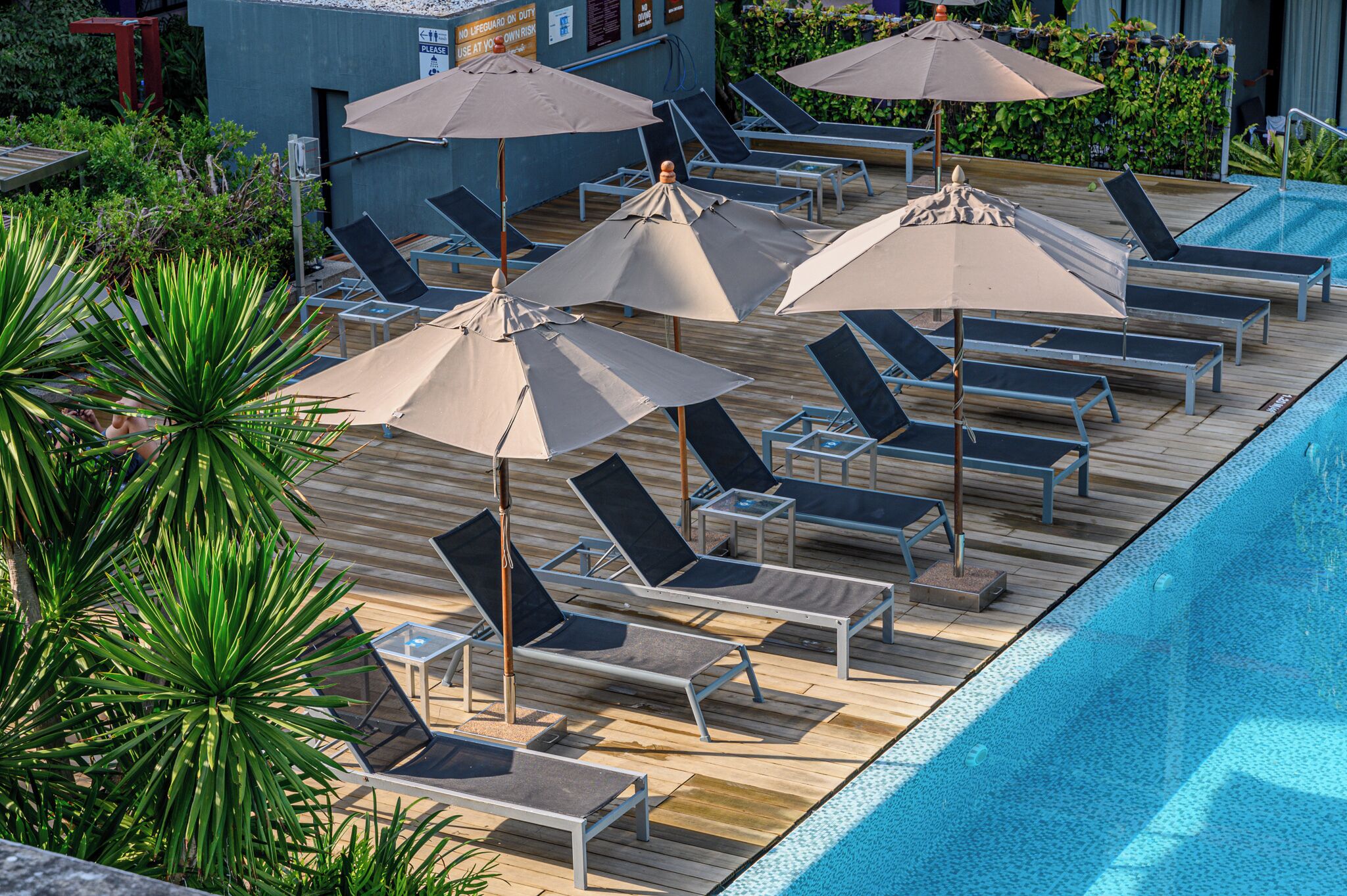 A poolside area with sun loungers and umbrellas, surrounded by greenery.