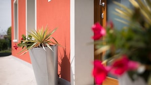 En krukväxt med en röd blomma framför en byggnad med en röd och vit fasad.