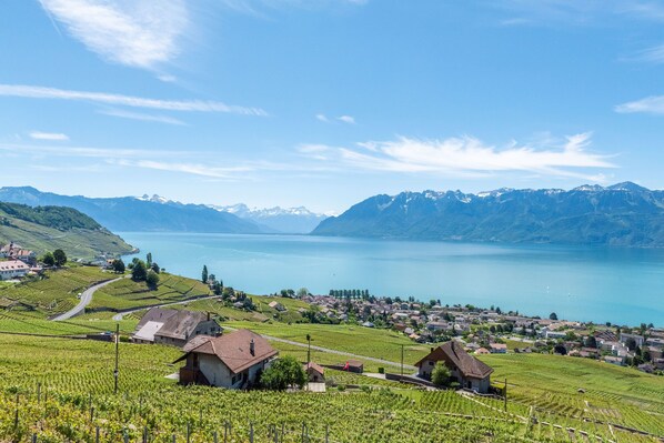 A scenic view of a lakeside village with vineyards, houses, and mountains in the background.