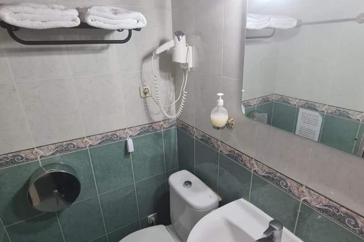 Rainfall showerhead, hair dryer, towels