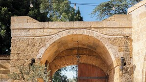 Un arco de piedra con una puerta de madera, un carrito metálico y un pequeño árbol.