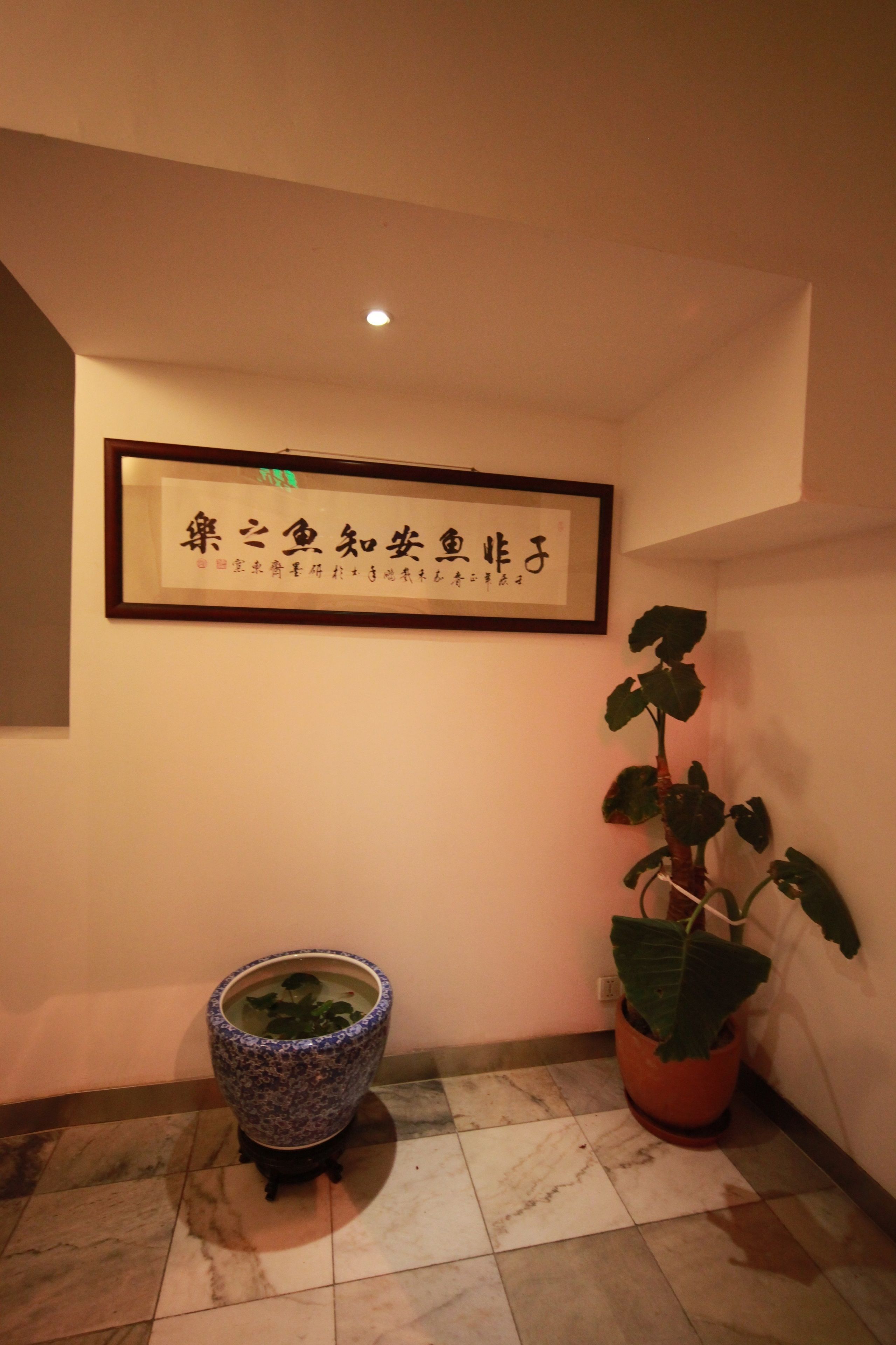 Photo - Shanghai Fish Inn Bund