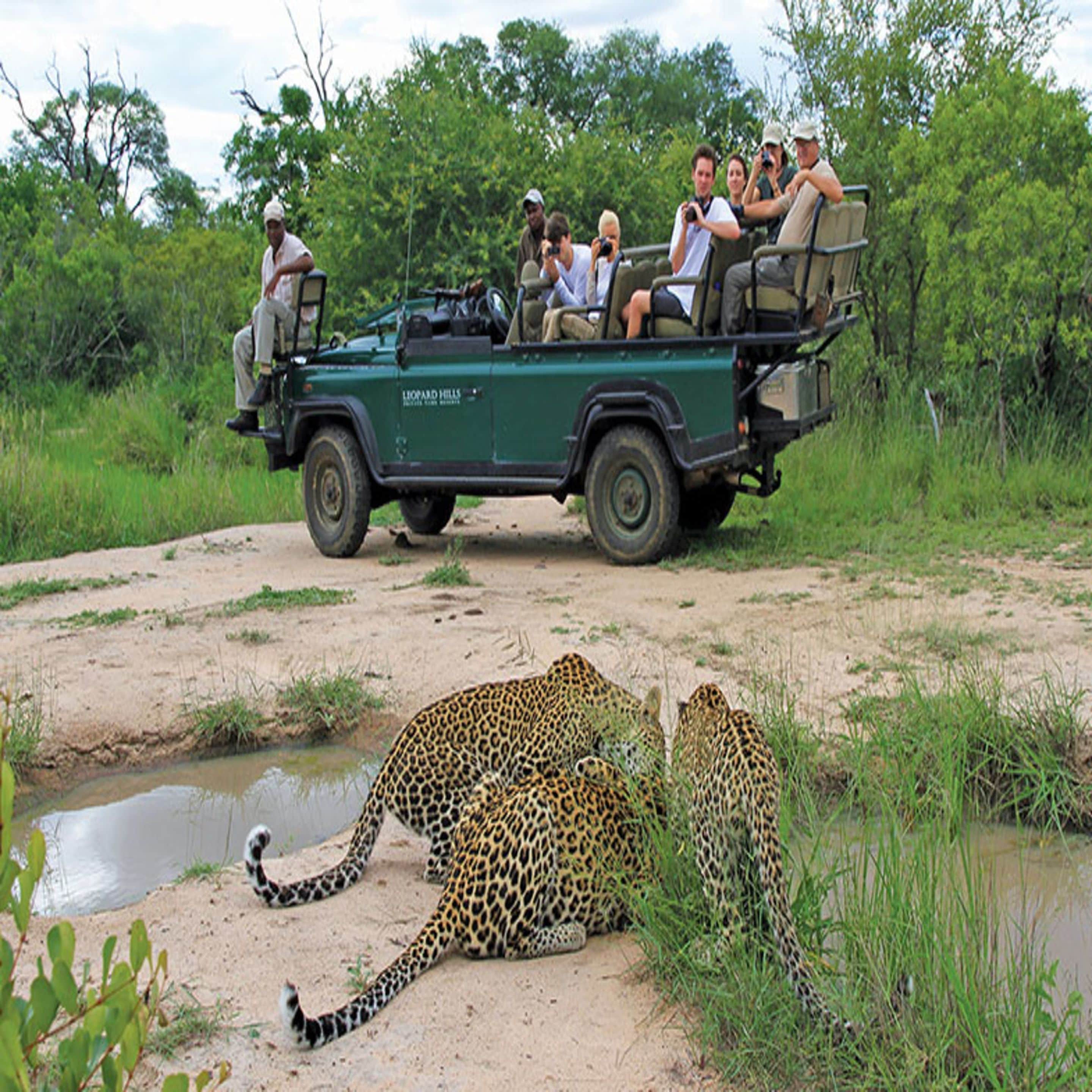 A safari vehicle with passengers observing wildlife, including a leopard near a waterhole.
