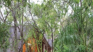 A pathway through a lush garden with a rustic building in the background. - Leopard Hills (Bushbuckridge)