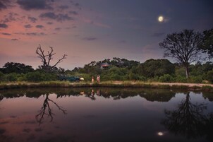 Un lago tranquilo que refleja árboles y una luna.