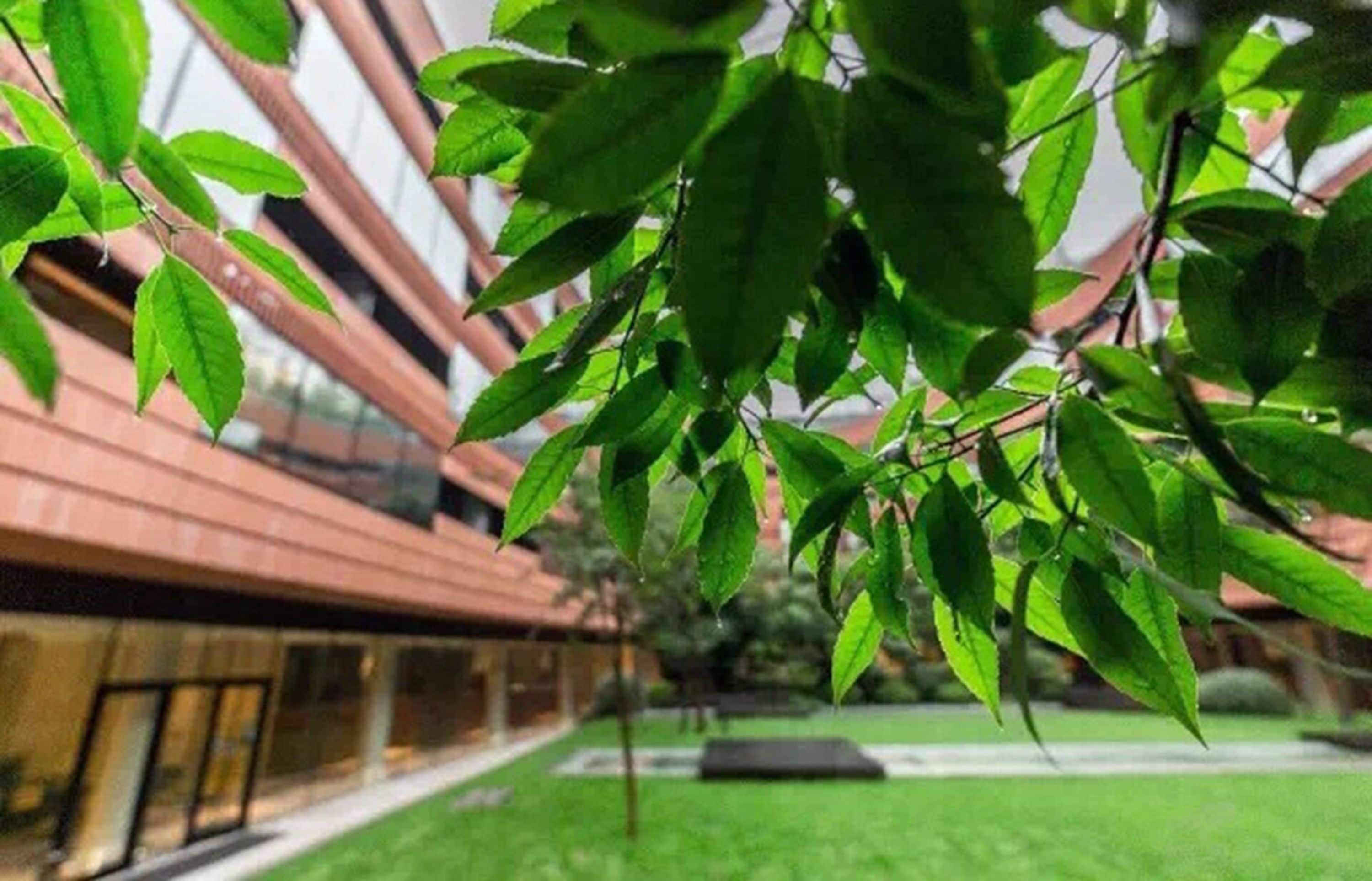 In-room safe, desk, laptop workspace, free cots/infant beds