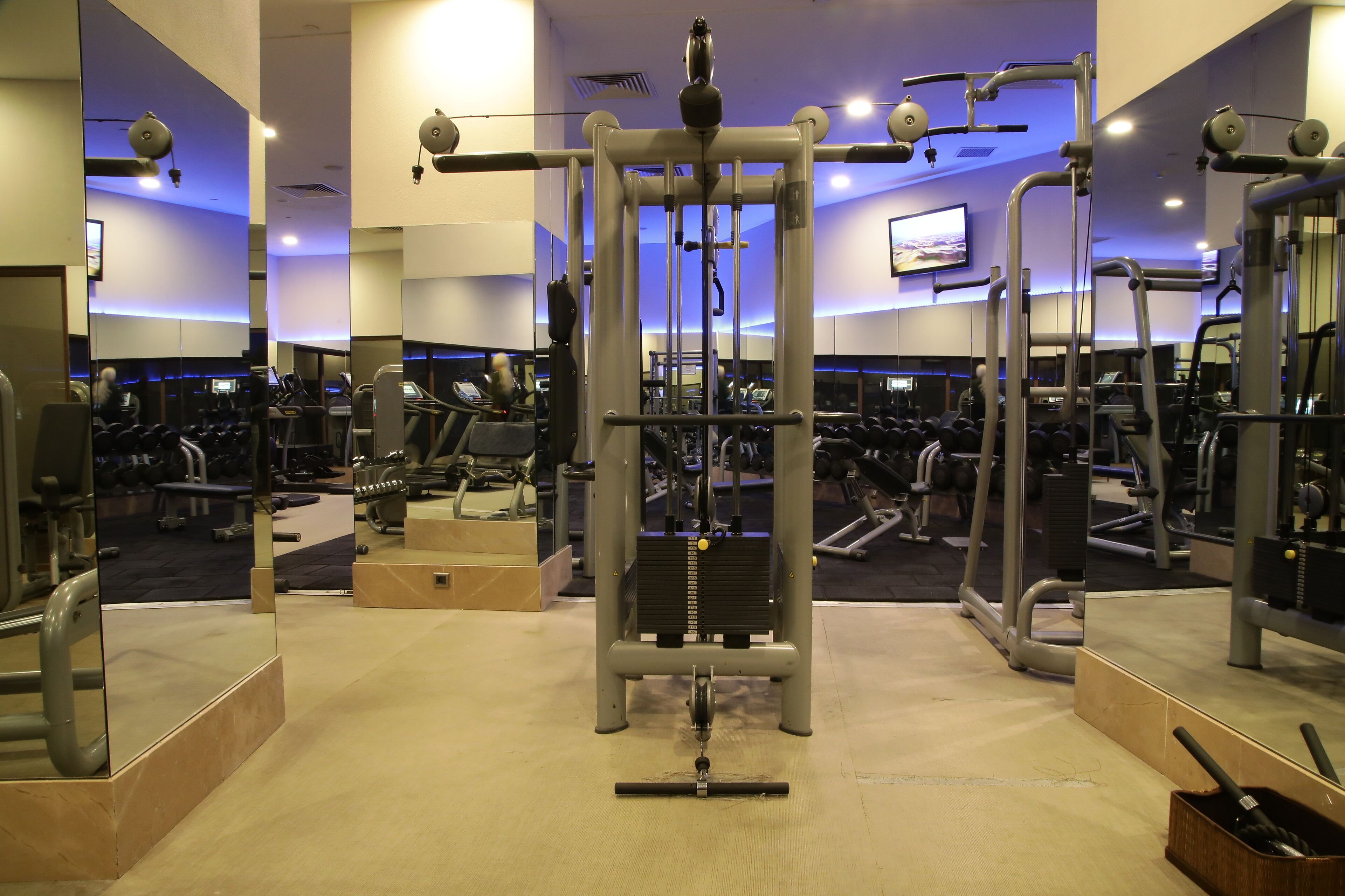 Un gimnasio con varios equipos de ejercicio, incluyendo una estructura para sentadillas y mancuernas.