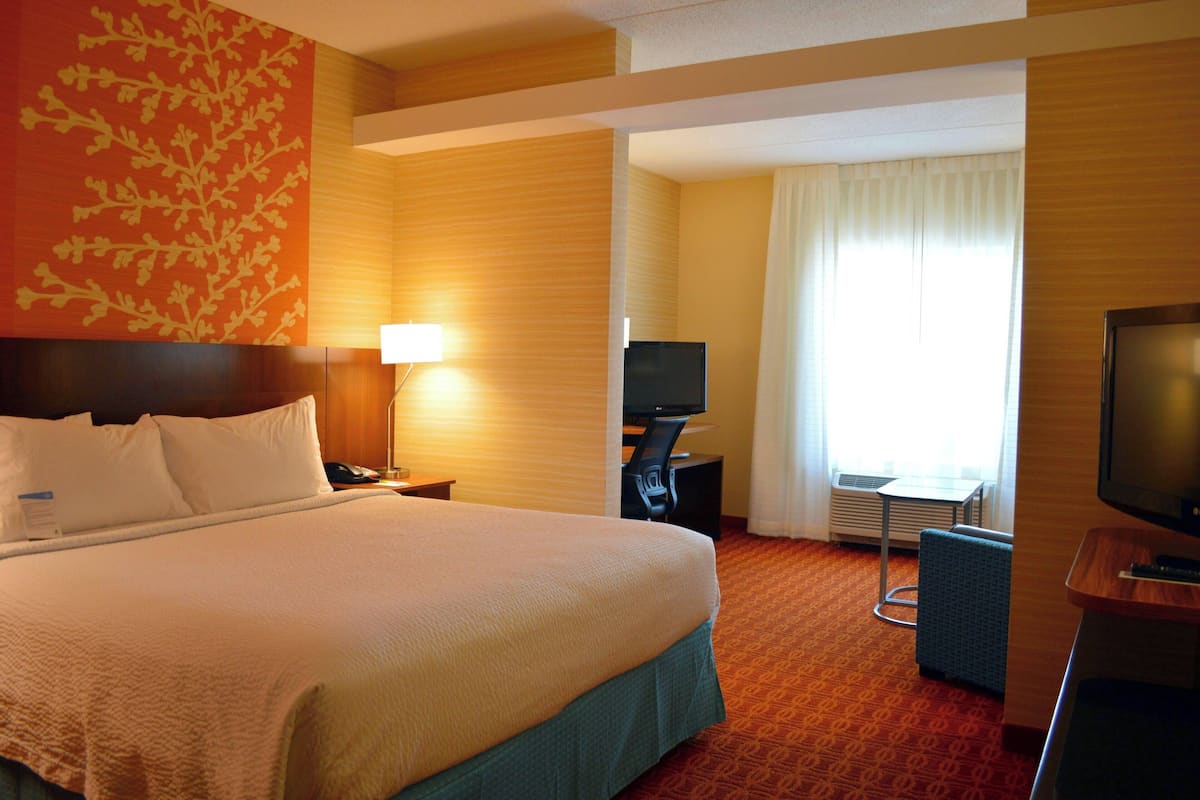 Executive Suite, 1 King Bed with Sofa bed