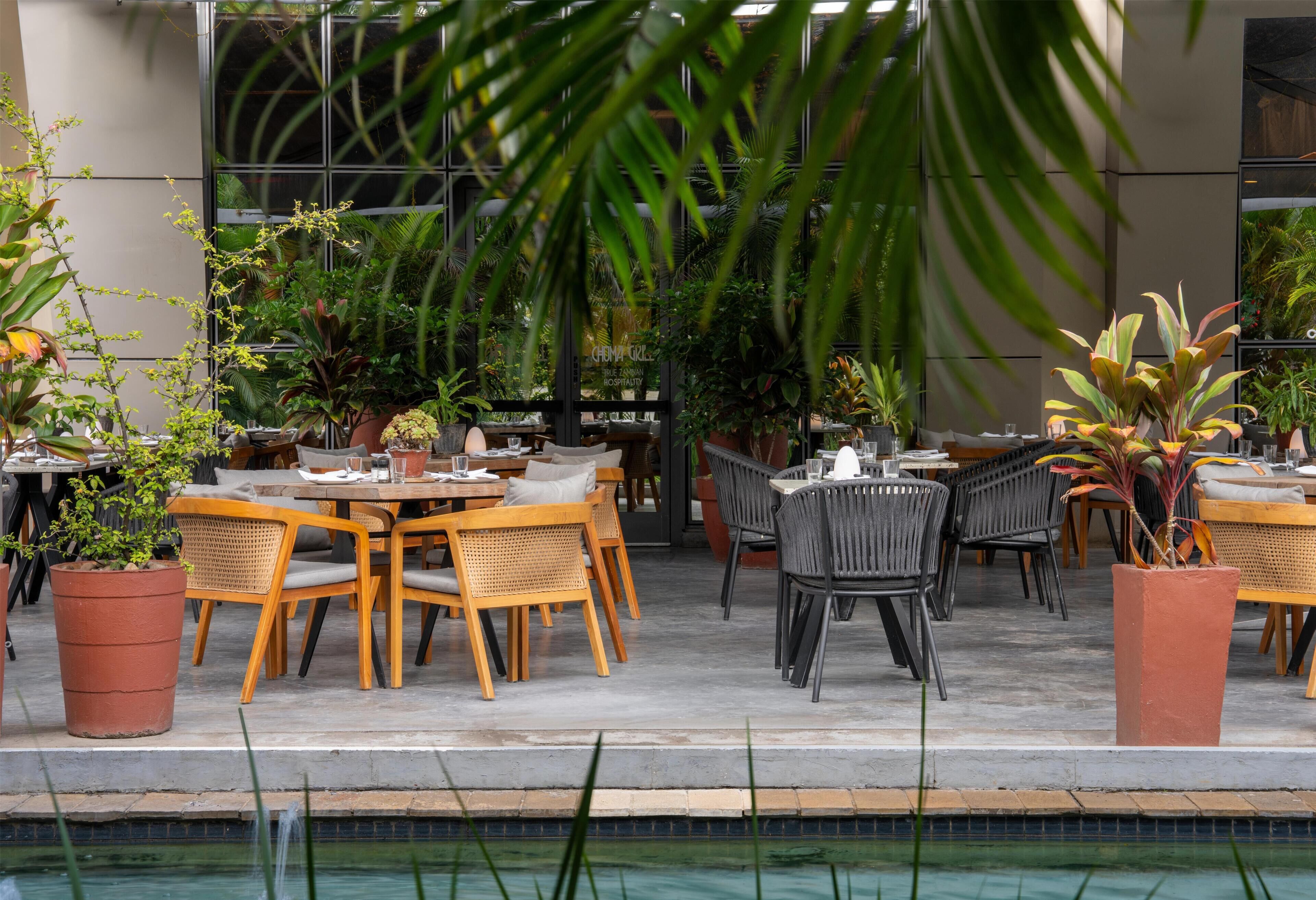 Un espace extérieur aménagé pour les repas, avec des tables et des chaises, entouré de plantes en pot et d’une piscine.