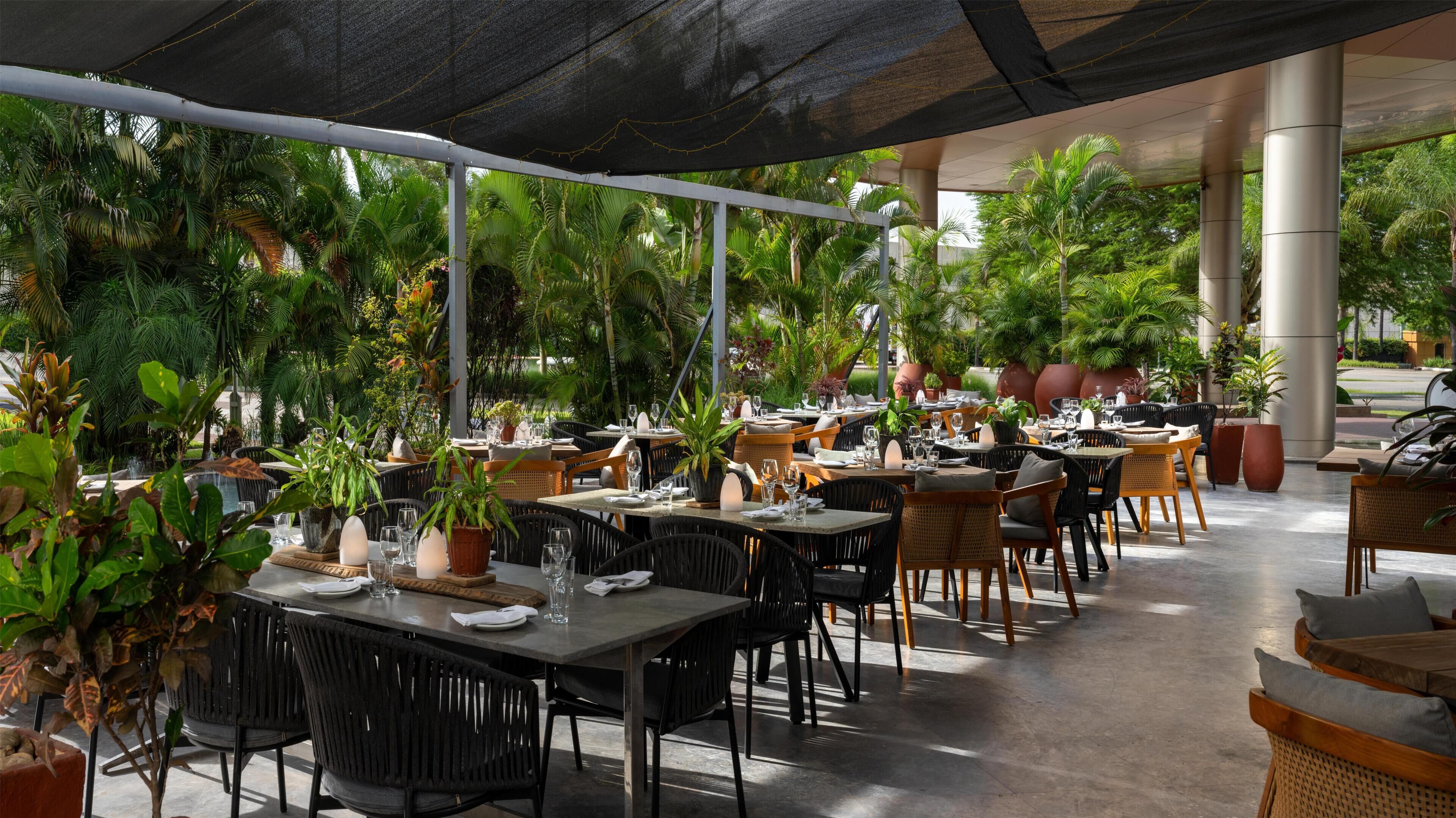 Un restaurante al aire libre con mesas y sillas, rodeado de plantas en macetas y árboles.