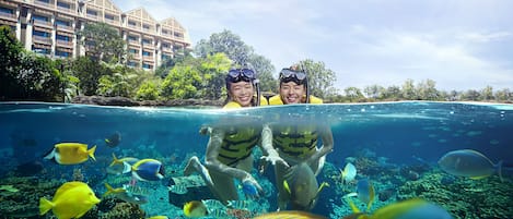 2 Nights Escape to Excitement Package | Egyptinpuuvillaiset lakanat, minibaari, tallelokero huoneessa, työpöytä