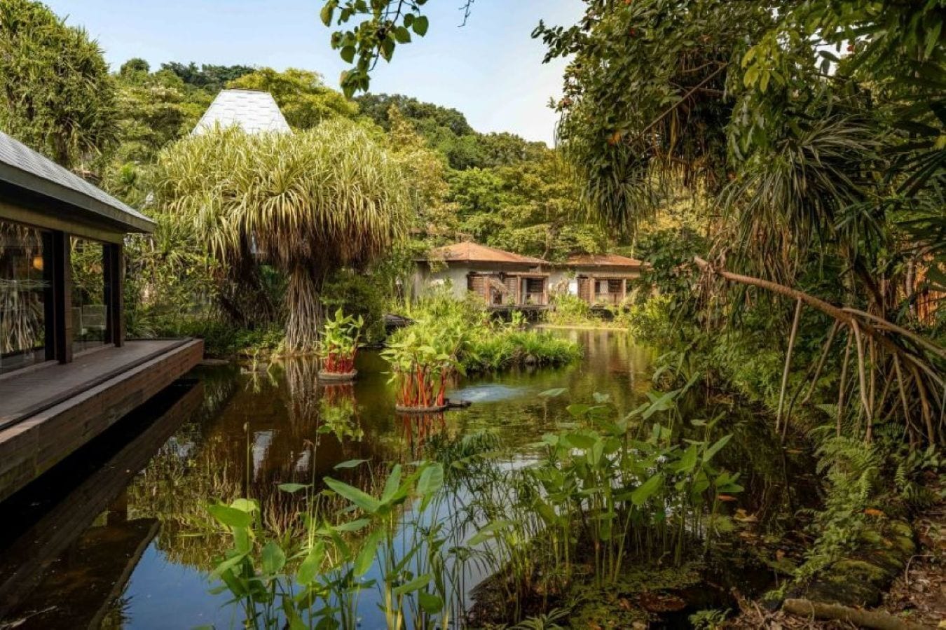 Un giardino tranquillo con uno stagno, strutture in legno e vegetazione rigogliosa.