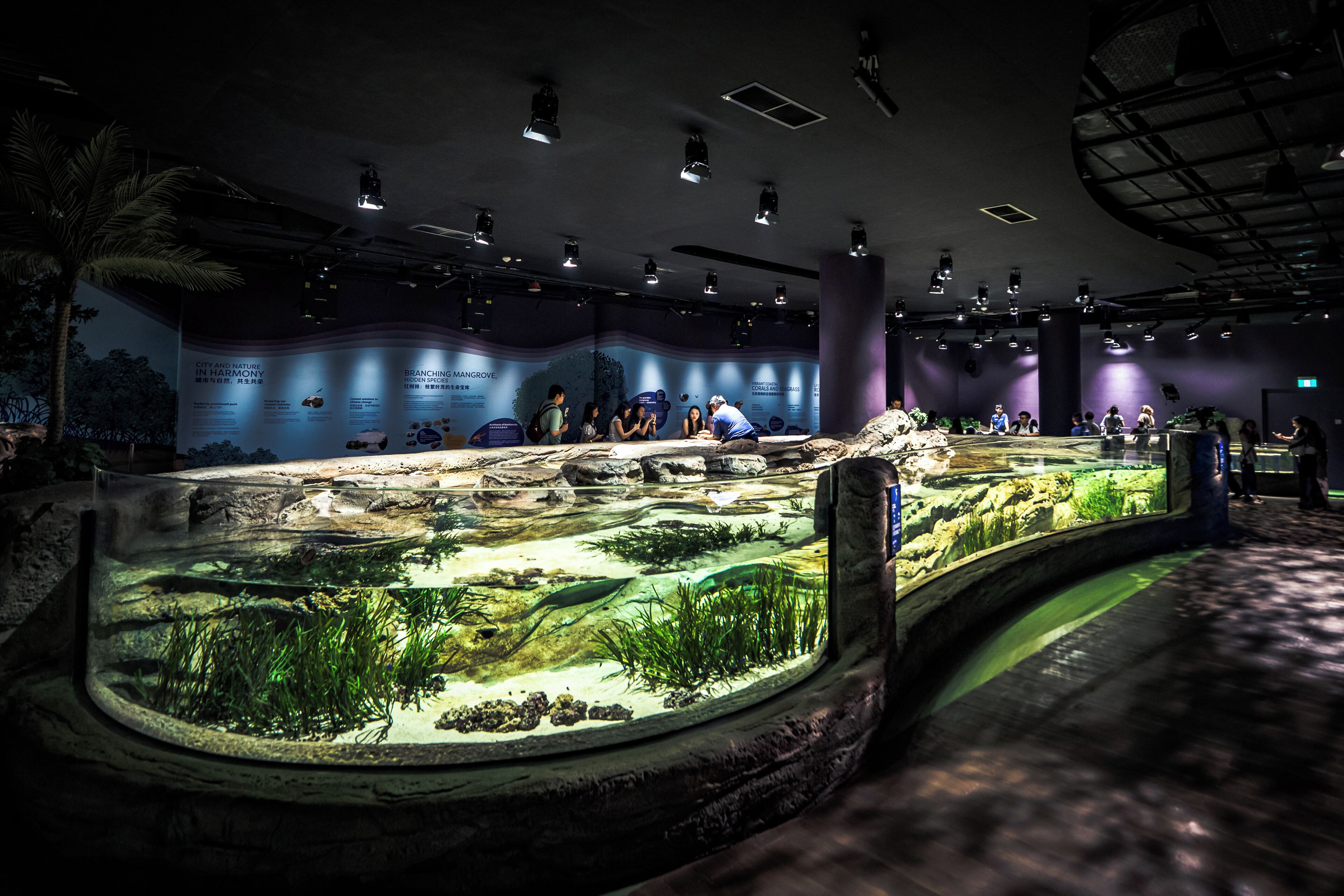 3d2n seas the day - deluxe room with singapore oceanarium tickets for 2 persons | 1 bedroom, egyptian cotton sheets, free minibar, in-room safe