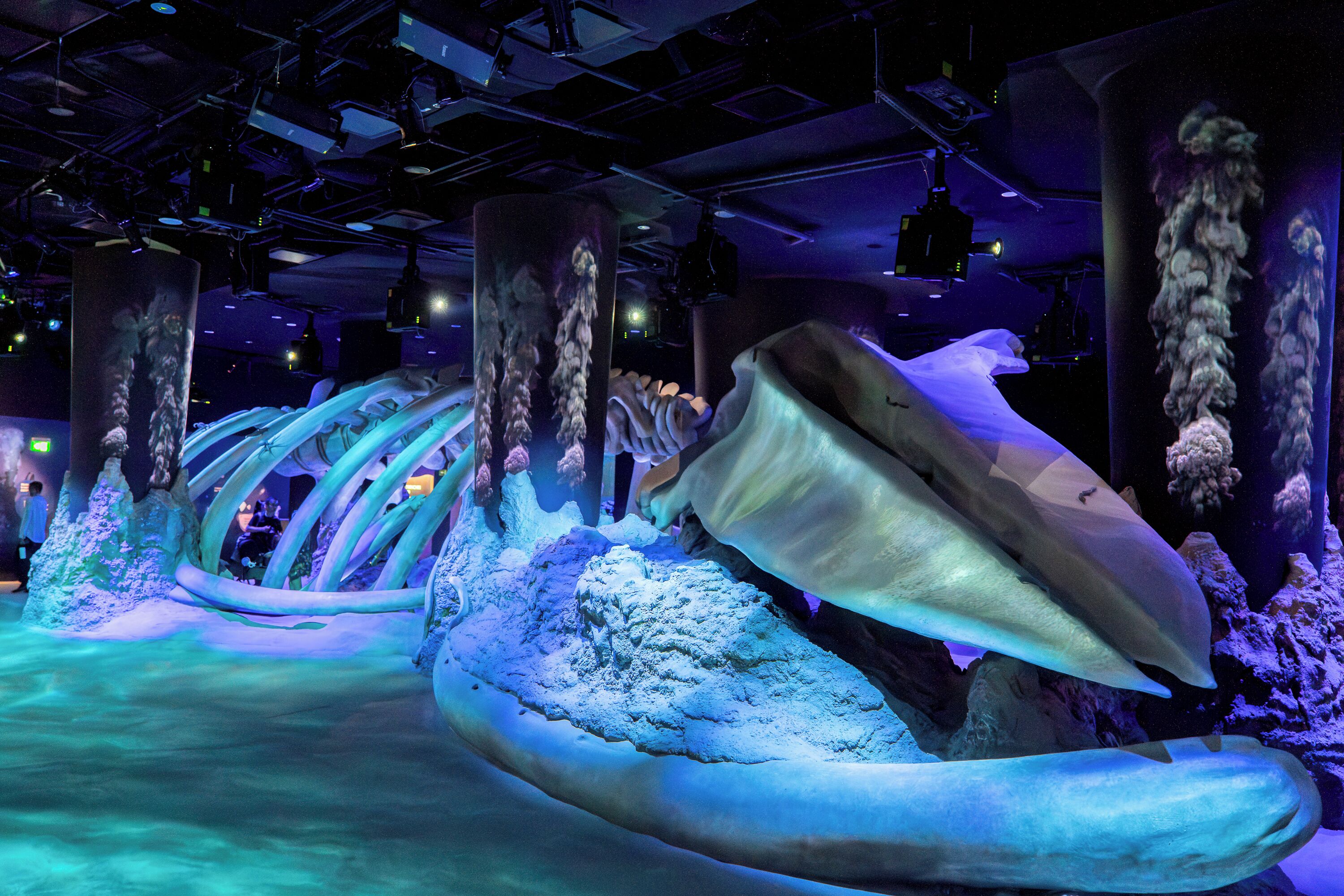 3d2n seas the day - deluxe room with singapore oceanarium tickets for 2 persons | 1 bedroom, egyptian cotton sheets, free minibar, in-room safe