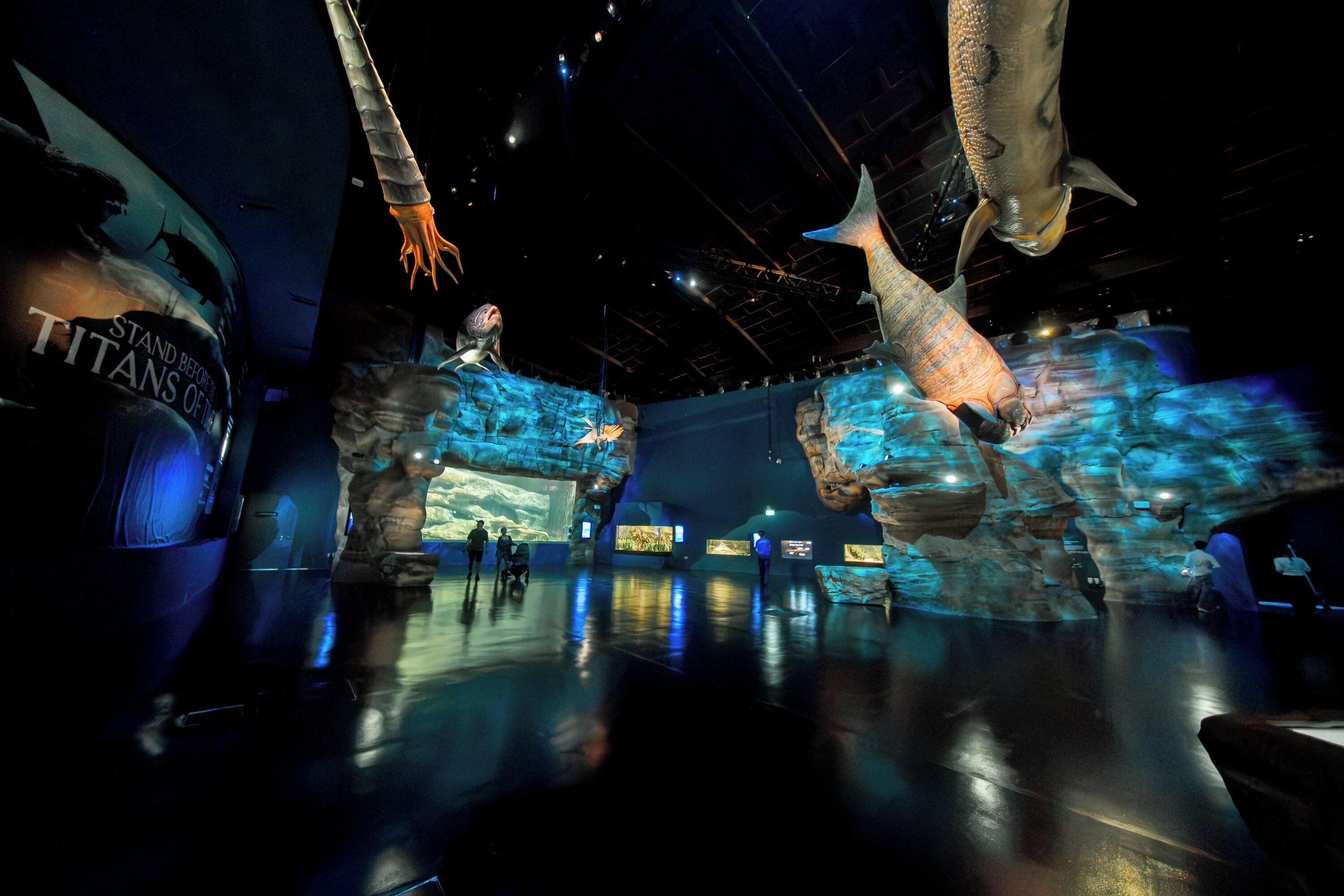 3d2n seas the day - deluxe room with singapore oceanarium tickets for 2 persons | 1 bedroom, egyptian cotton sheets, free minibar, in-room safe