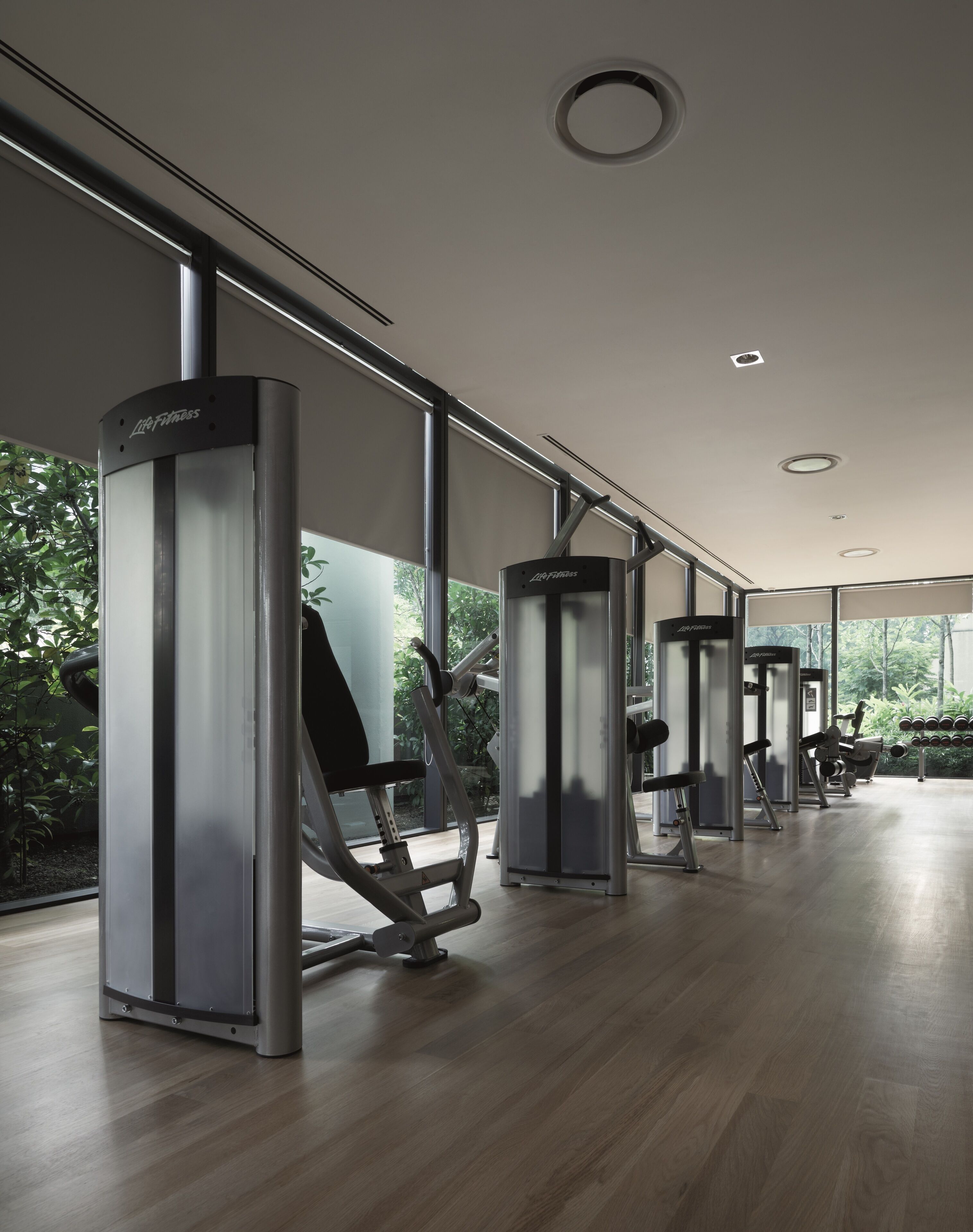Een moderne sportschool met cardioapparatuur, gewichthefapparatuur en grote ramen die natuurlijk licht en uitzicht op groen bieden.
